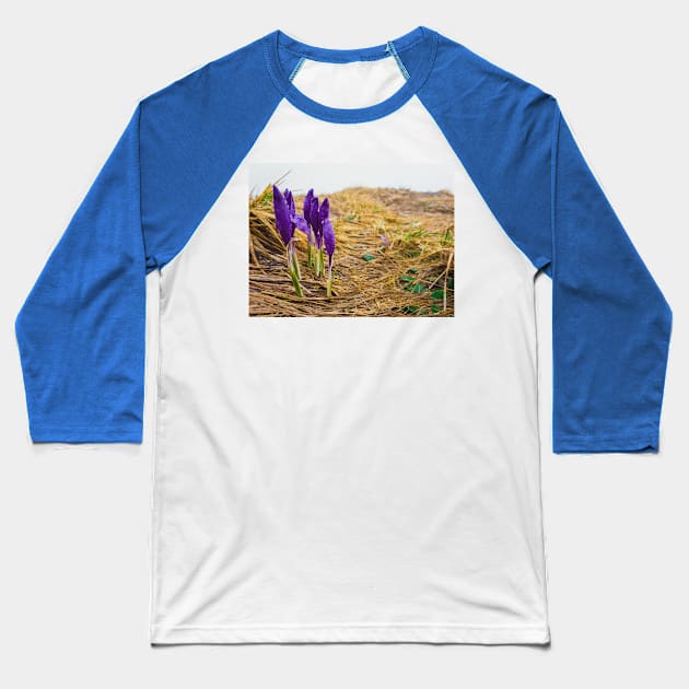 Alpine crocuses Baseball T-Shirt by psychoshadow